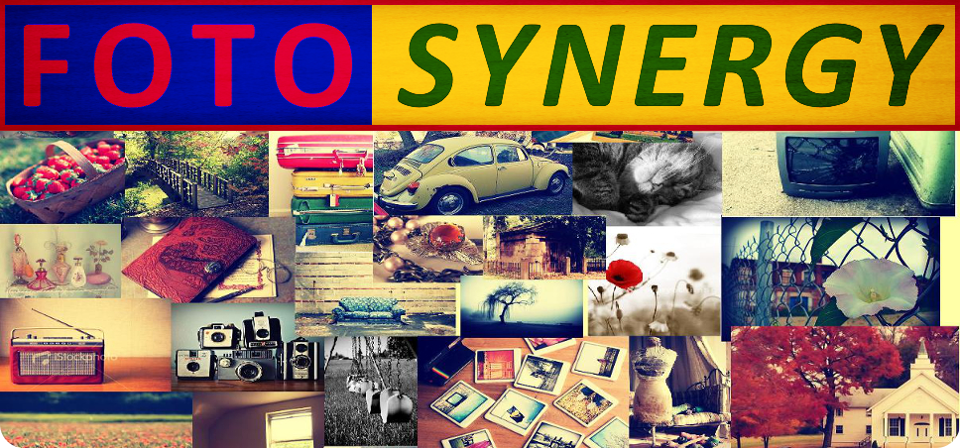 fotosynergy