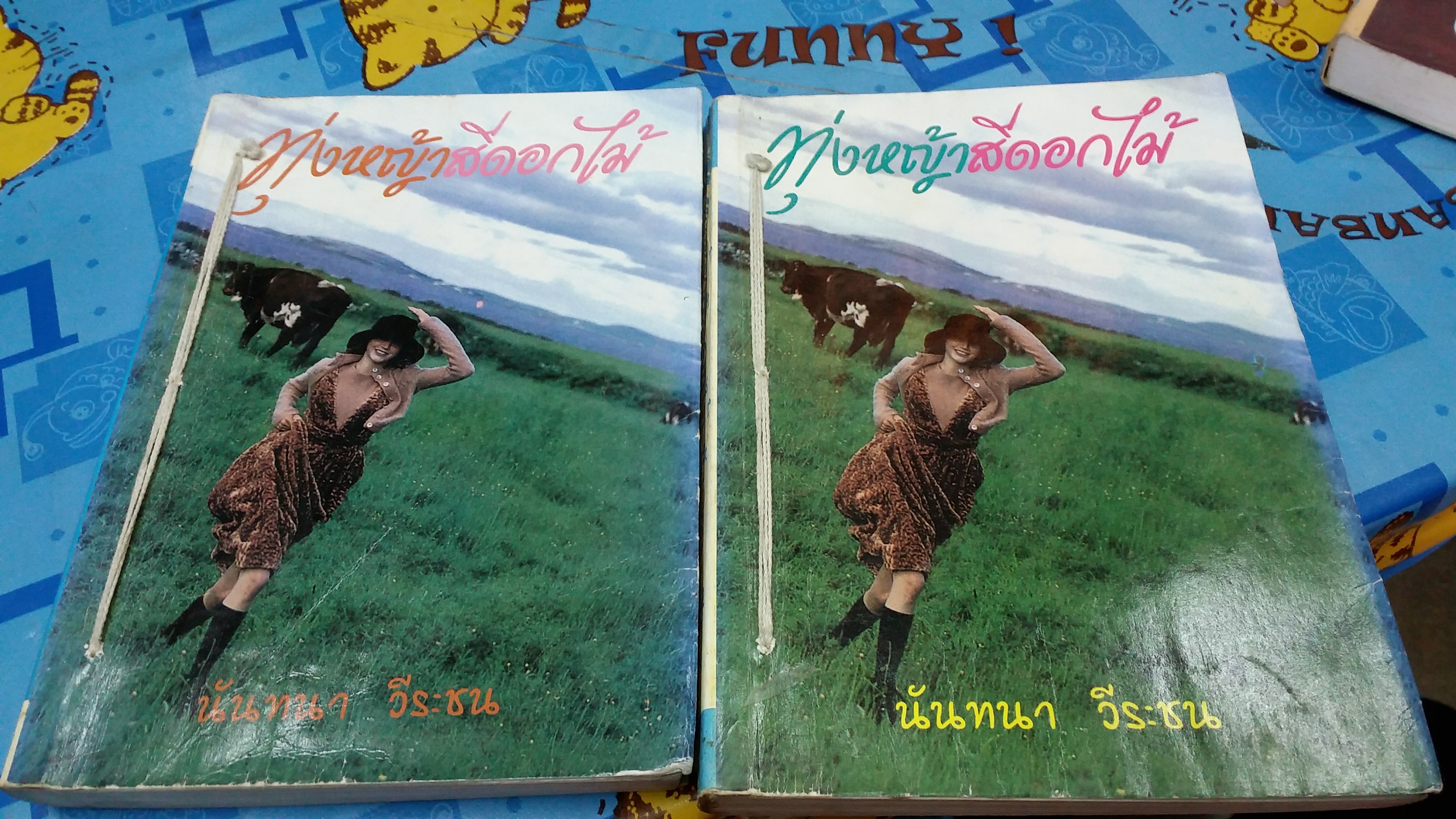 ทุ่งหญ้าสีดอกไม้