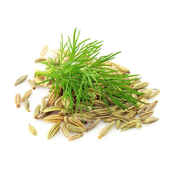 Aniseed Anise Herb Seed Anethum Whole Seeds Spice Pimpinella anisum