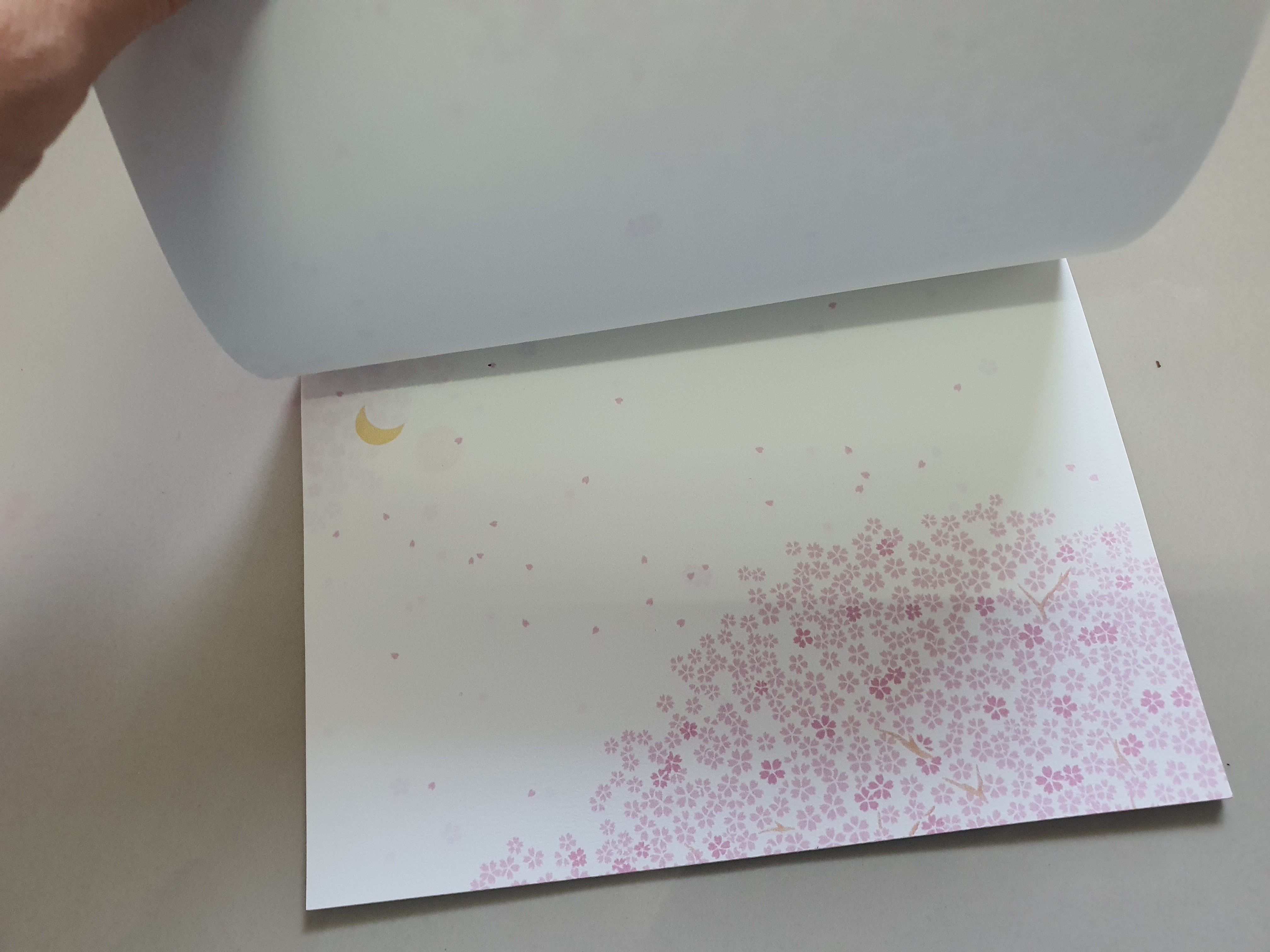 สมุดโน๊ต cherry blossom