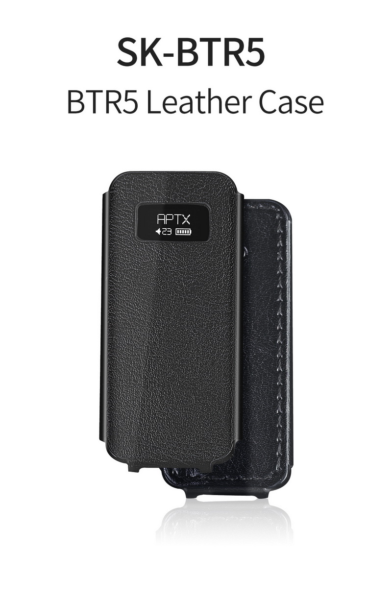 FiiO SK-BTR15 เคสหนังสำหรับ BTR15 ให้การป้องกันที่ยอดเยี่ยม ทนทาน เฉพาะเคส [-เคส-]