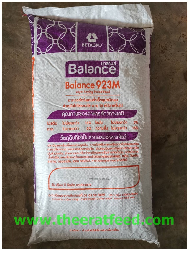 BALANCE FEED อาหารไก่ระยะไข่ 16 สัปดาห์ ขึ้นไป บาลานส์ 923m แบบผง 16%