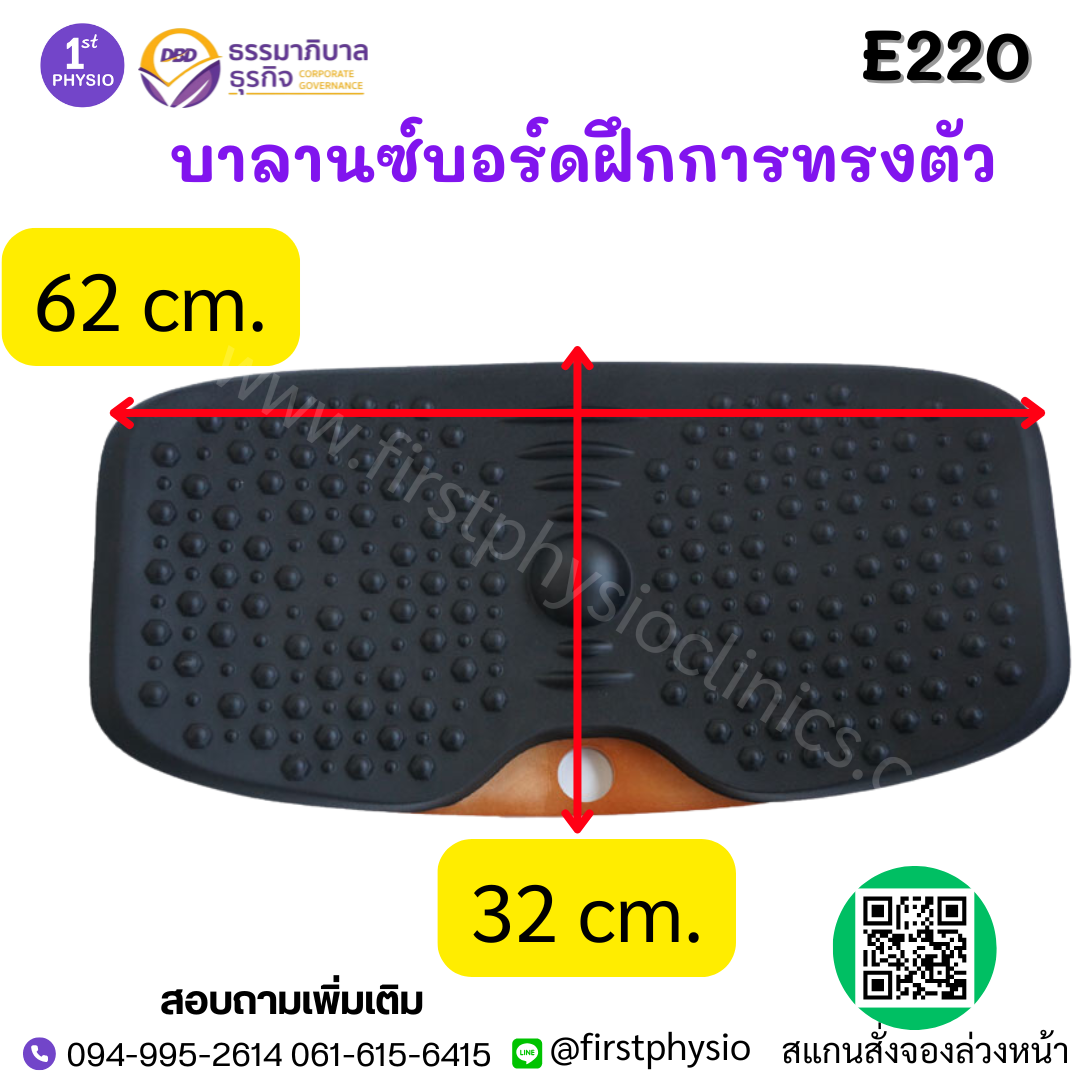 บาลานซ์บอร์ดฝึกการทรงตัว / FUNCTIONAL BALANCE BOARD