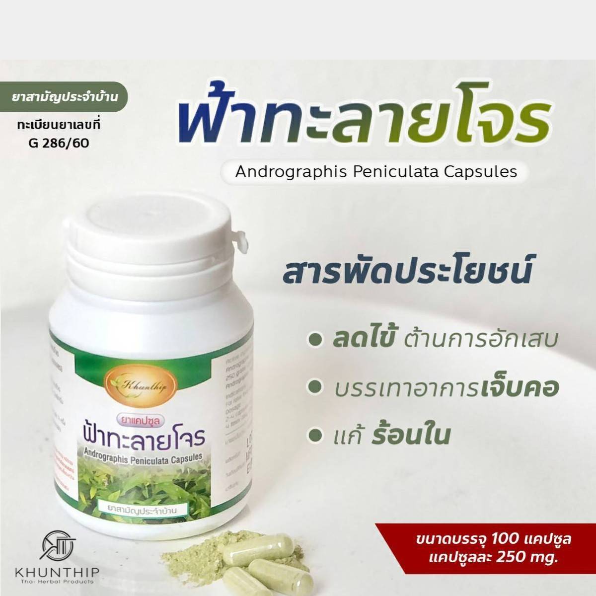 คุณทิพย์ ฟ้าทะลายโจรแบบแคปซูล 100 เม็ด 250 มก. (เทียบเท่าแอนโดรกราโฟไลด์ ≥ 6 มก.) กินแค่มื้อละ 5 แคปซูล