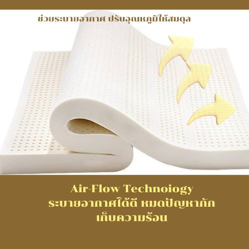 บอกลาปวดหลังด้วย Rehab 7- Zone Back support ที่นอนยางพารา on top ยางพารา ขนาด 3.5-5-6 ฟุต หนา 2 นิ้ว