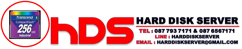 TransCend Compact Flash Card (CF) 256MB Industrial Grade