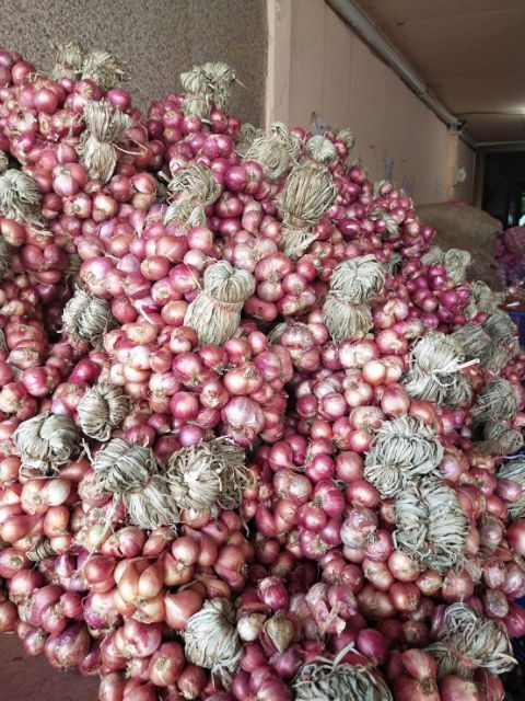 หอมหัวแดงออแกนิค พร้อมปลูกหรือรับประทานได้เลย