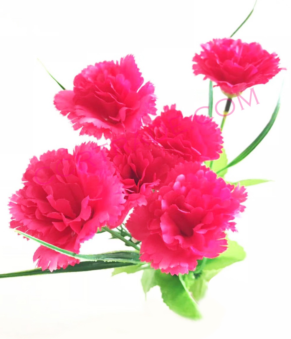 ดอกคาร์เนชั่น 6 ดอก คละสี 30 ซม.
