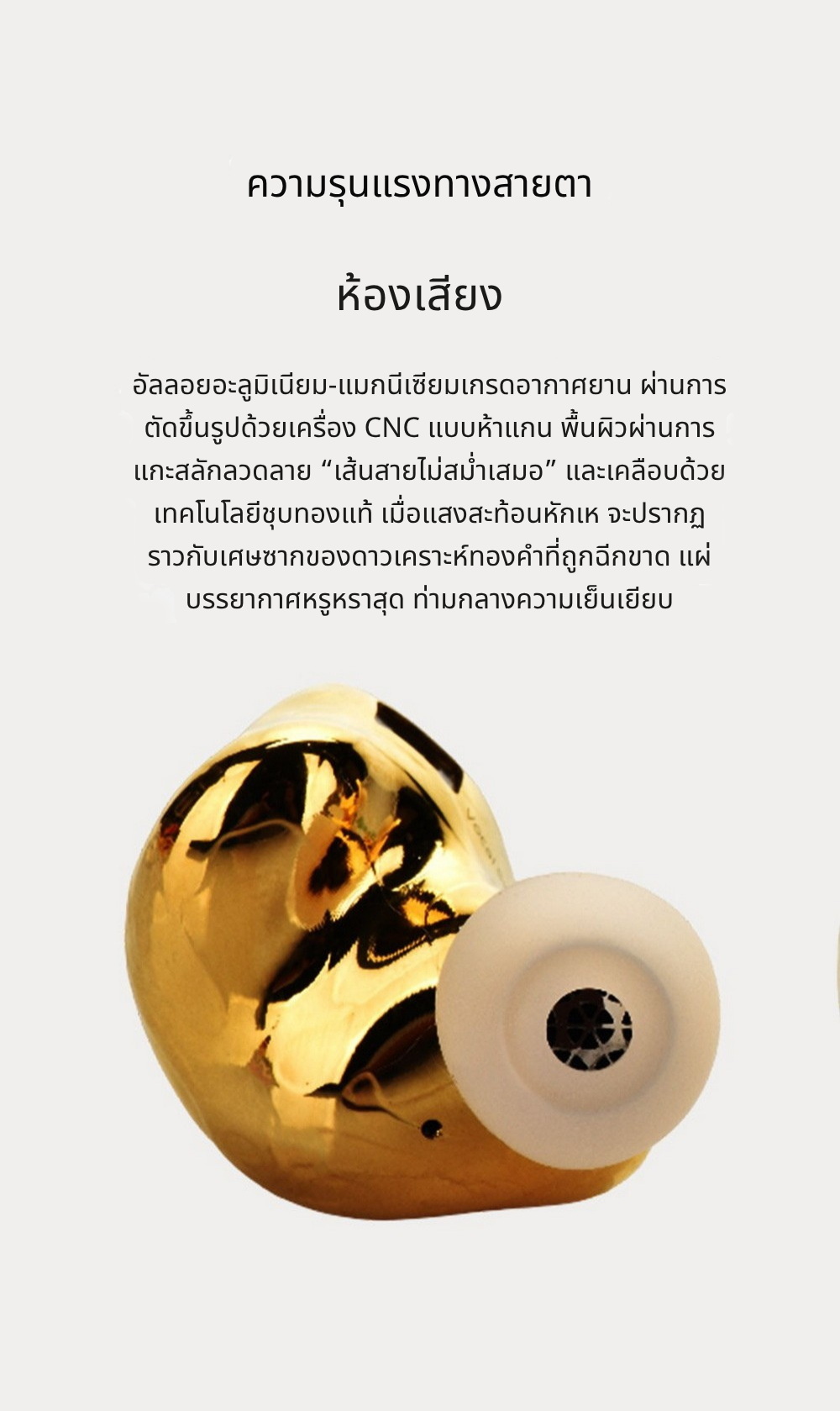 Ear Acoustic Audio VSA LTD หูฟัง IEMs ไดรเวอร์ Dynamic ไดอะแฟรมชุบไทเทเนียม ประกันศูนย์ไทย