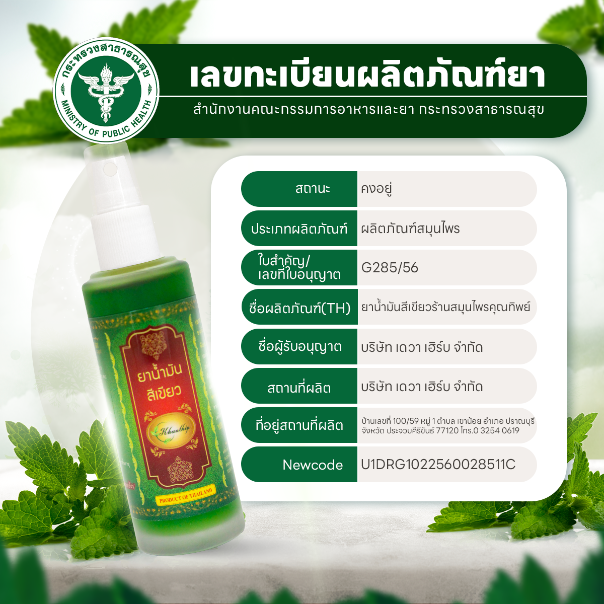 ยาน้ำมันสีเขียว ยาน้ำมันนวดสีเขียว ตราคุณทิพย์ ขนาด 50 มล.(Khunthip Ya Green Herb Oil 50ml)