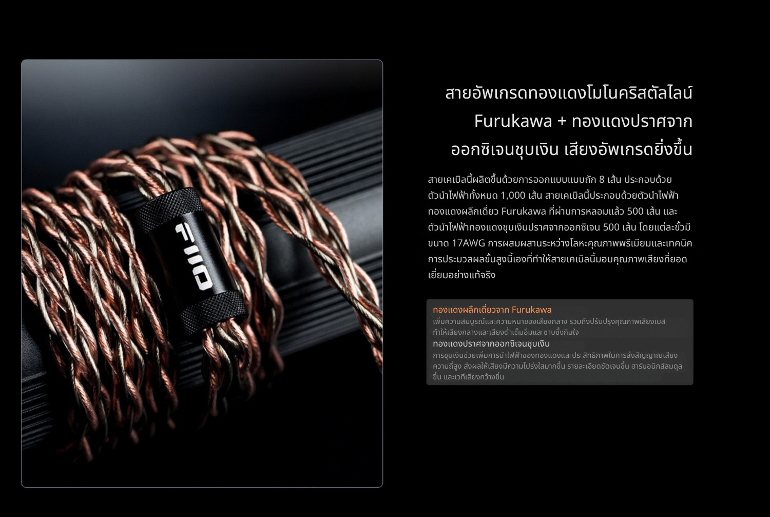 FiiO FT13 หูฟังเฮดโฟนบอดี้ไม้ สัมผัสหรูหรา คุณภาพเสียงที่เป็นเอกลักษณ์ ประกันศูนย์ไทย