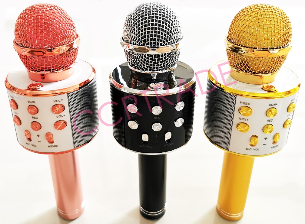 ไมโครโฟน Bluetooth มีลำโพงในตัวกล่อง 25 ซม.(1x3)