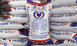 หัวอาหารไก่ระยะไข่ เค.ที.10 S, KT10s 38% โปรตีน