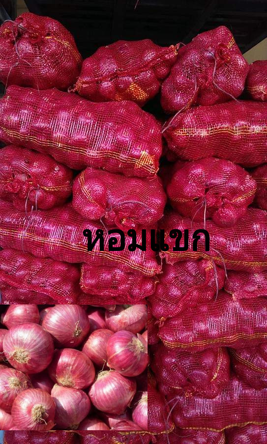 หอมแขก หอมแขกใหม่พร้อมส่ง หอมแขกสำหรับประกอบอาหาร