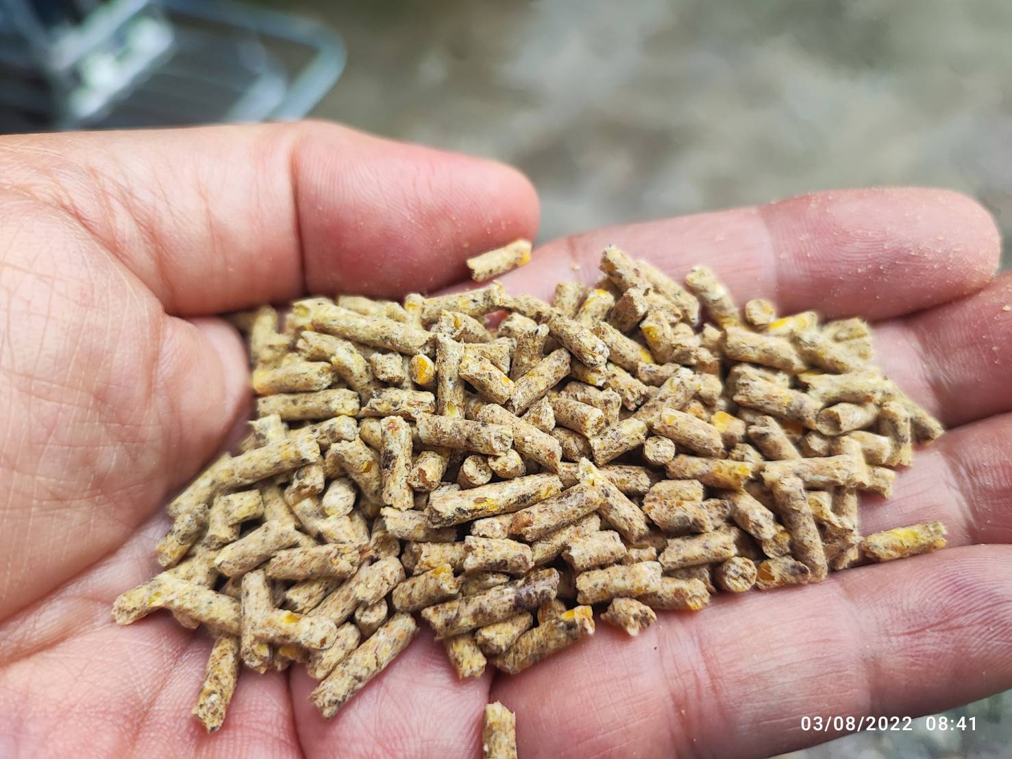 อาหารหมูเล็ก CoA 902 สำหรับสุกรเล็ก 15-30กก (โคเอ)