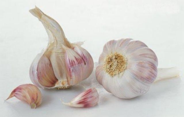 กระเทียมจีนกลีบใหญ่ กระเทียมแห้งตัดจุก