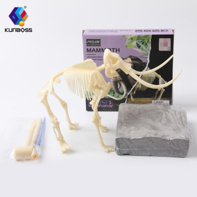 ชุดขุดฟอสซิลไดโนเสาร์ เกมฝึกสมาธิ ขุดไดโนเสาร์