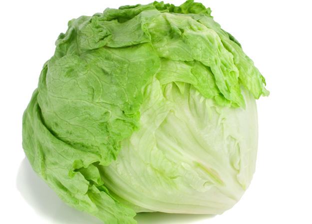 ผักสลัดแก้ว/ผักกาดแก้ว Head Lettuce, Iceberg Crisp, Lettuce