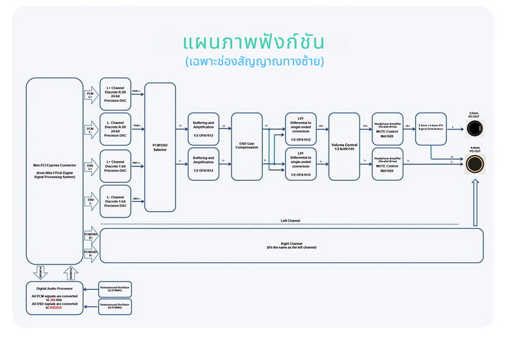Cayin R202 เมนบอร์ดเสียงสำหรับ N6III พร้อมสถาปัตยกรรม DAC คู่ แบบแยกส่วน ประกันศูนย์ไทย