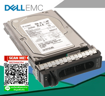 DELL 300GB 15K U320 SCSI 3.5INCH HOT-PLUG HDD