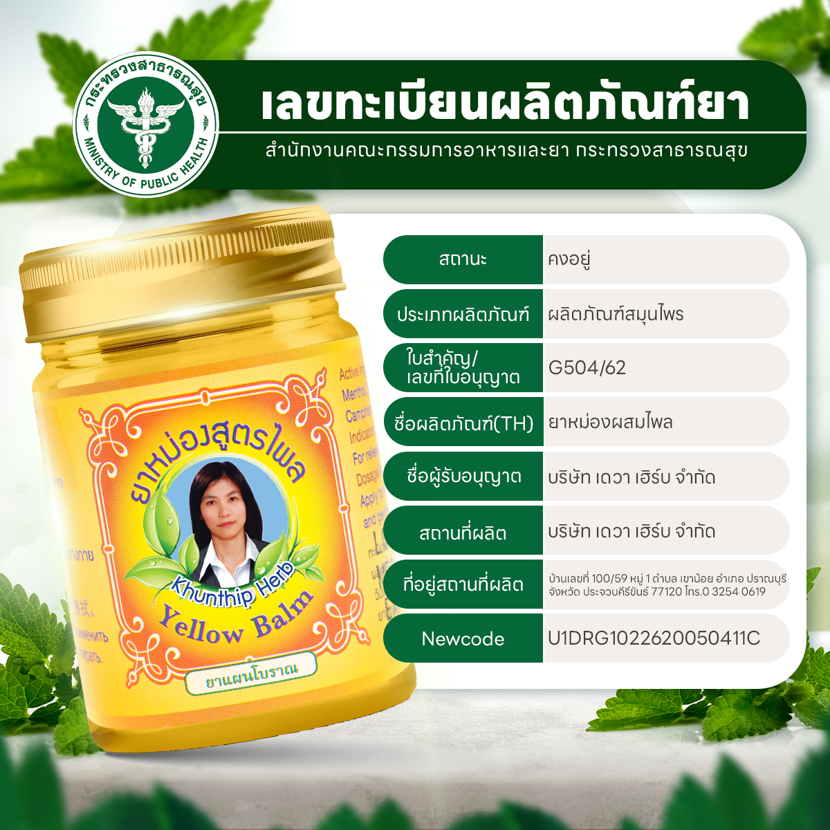 ยาหม่องผสมไพล (Khunthip Compound Plai Balm) ยาหม่องสีเหลือง ตราคุณทิพย์ ขนาด 50 กรัม