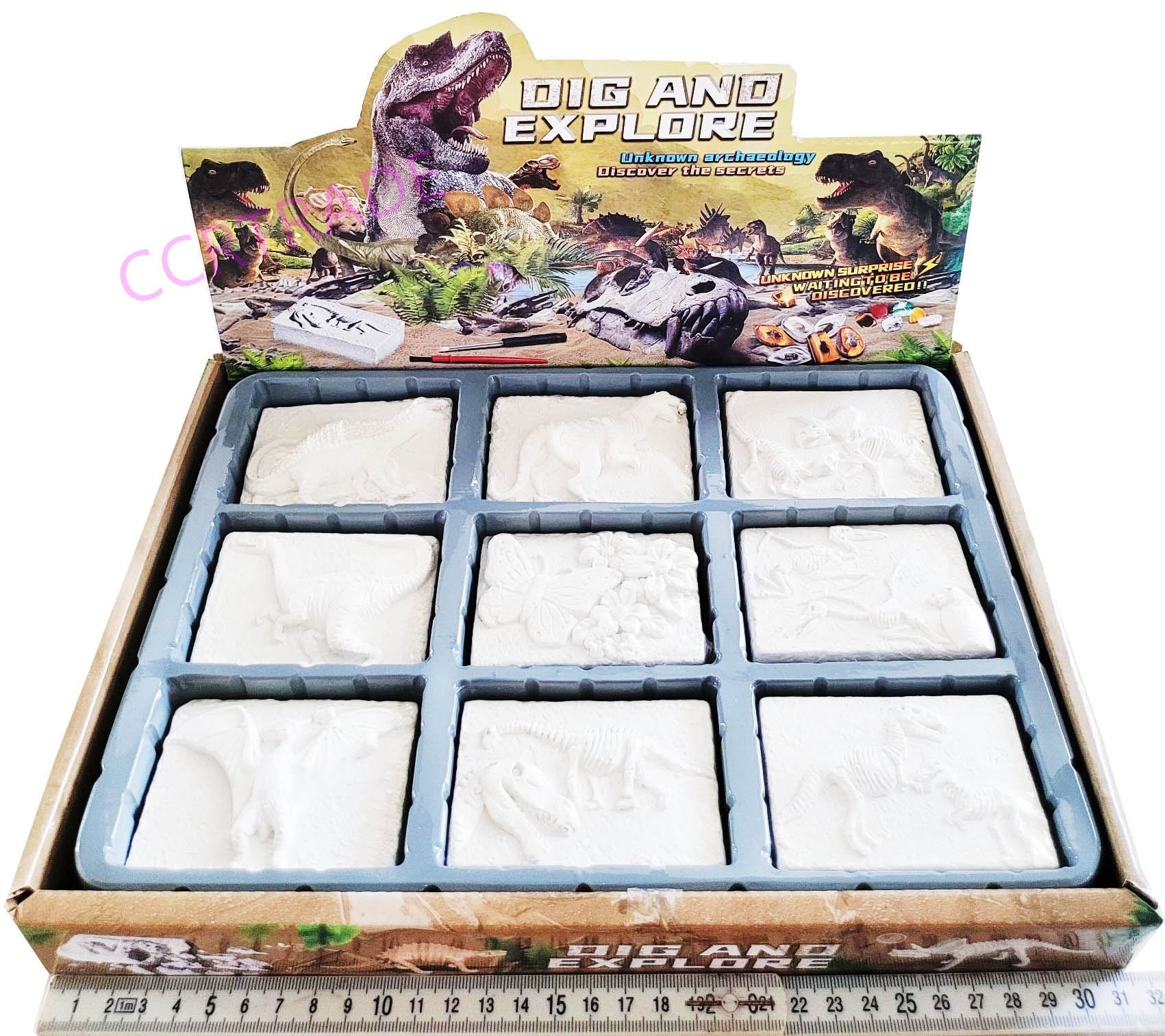 เซ็ทขุดไดโนเสาร์ฟอสซิลกล่อง 5.5x8 ซม.(งานห้าง)(1x9)