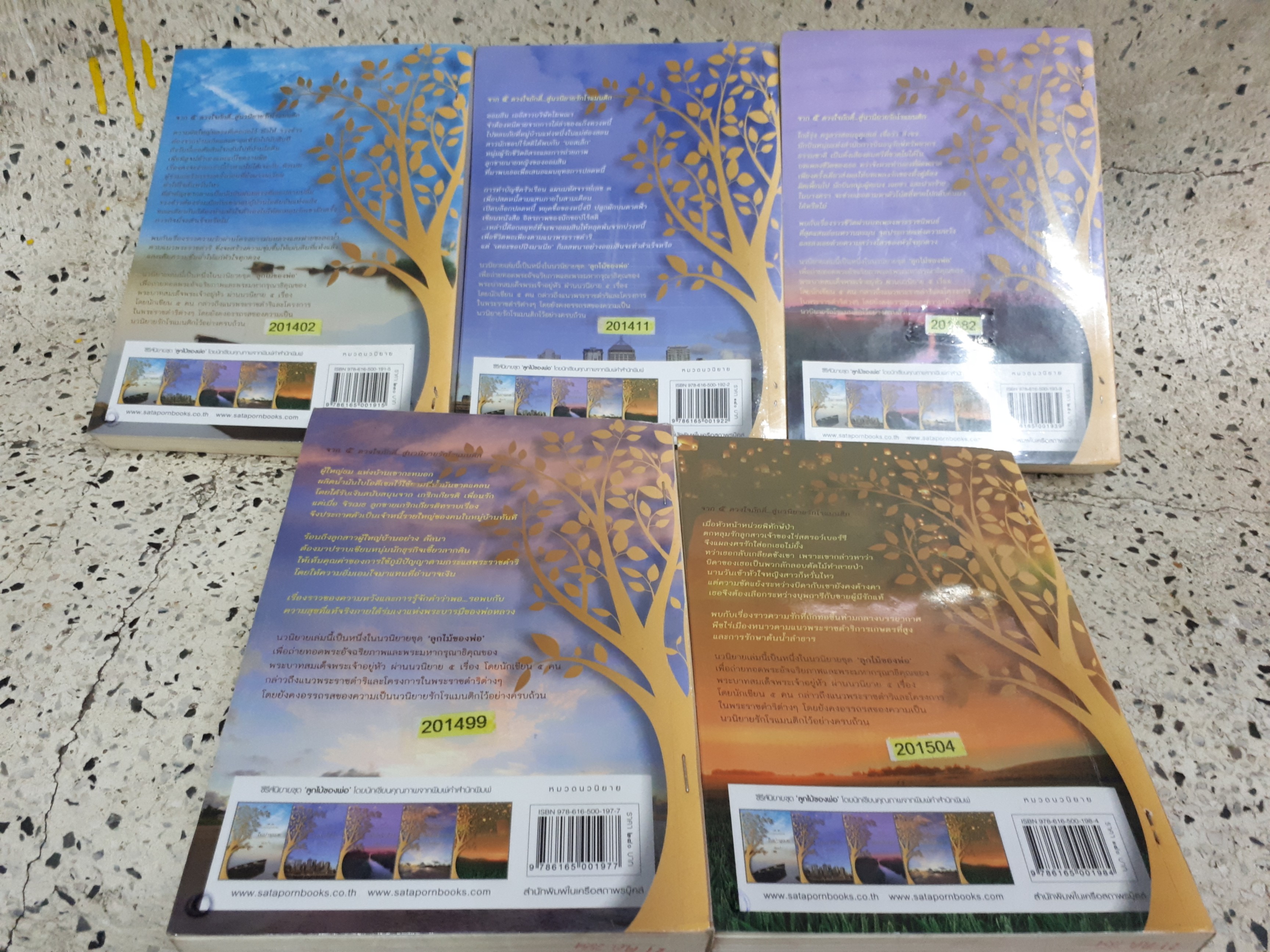 ชุด ลูกไม้ของพ่อ