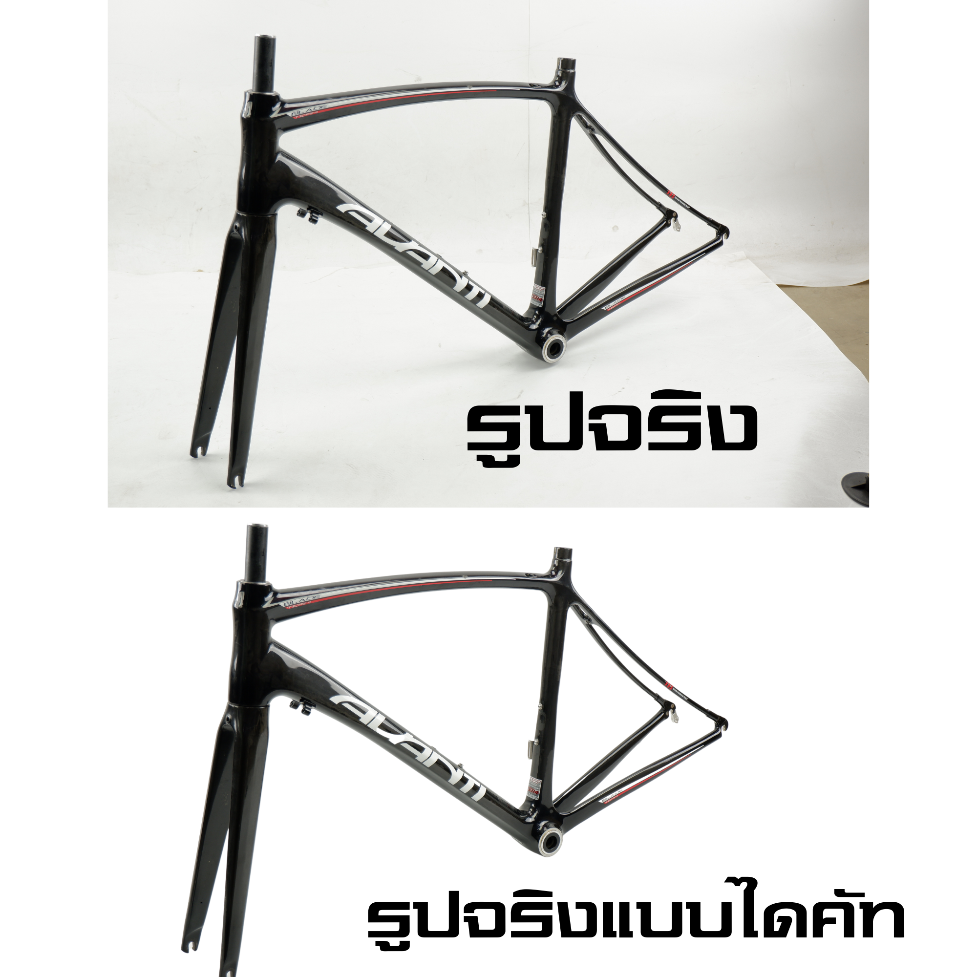 เฟรมจักรยานเสือหมอบคาร์บอนพร้อมตะเกียบไซต์ 49 AVANTI ตัวโชว์