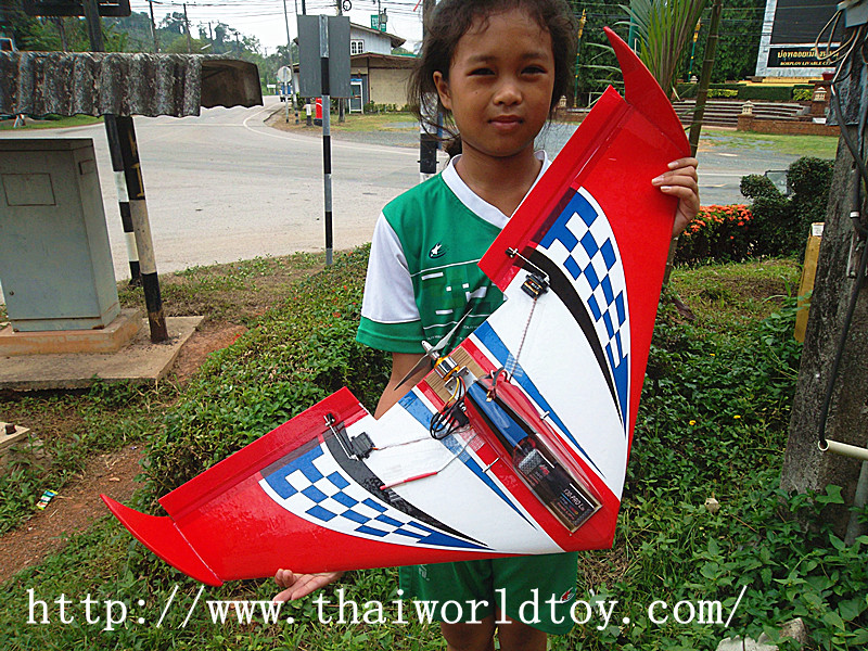 ปีกบิน ความเร็วสูง