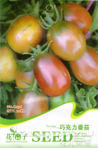 Chocolate Factory Tomato มะเขือเทศช็อกโกแลต 20 เมล็ด