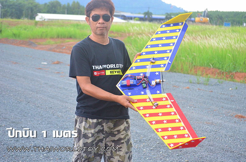 ปีกบินบังคับ 1,000MM.