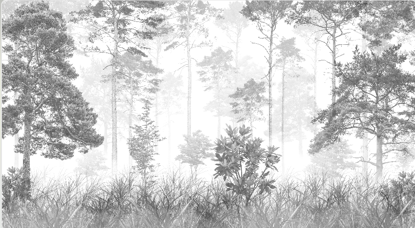 วอลเปเปอร์ภาพป่าเขตร้อน Tropical (สั่งผลิต)