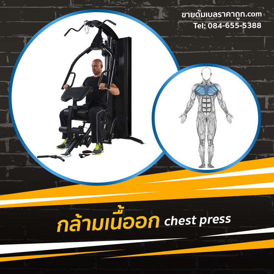 Home Gym รุ่น IRON 980