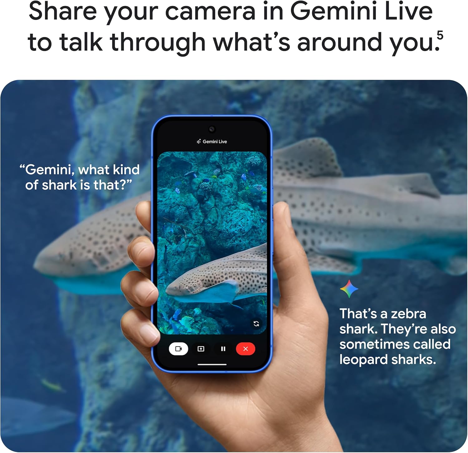 Pixel 10 Canada Model ใส่ซิมได้