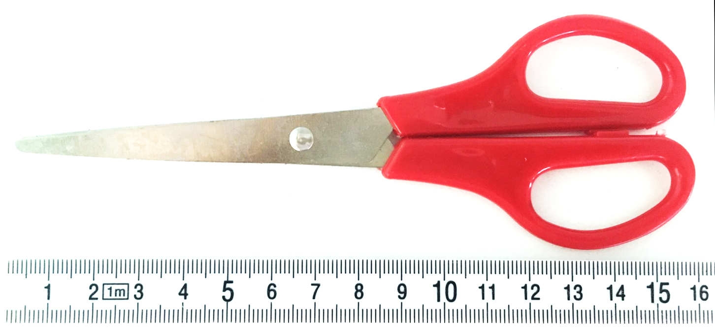 กรรไกรสีสด 6.5 นิ้วแผง