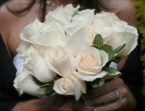 White Roses Cream Rose Breathes of Love Flower