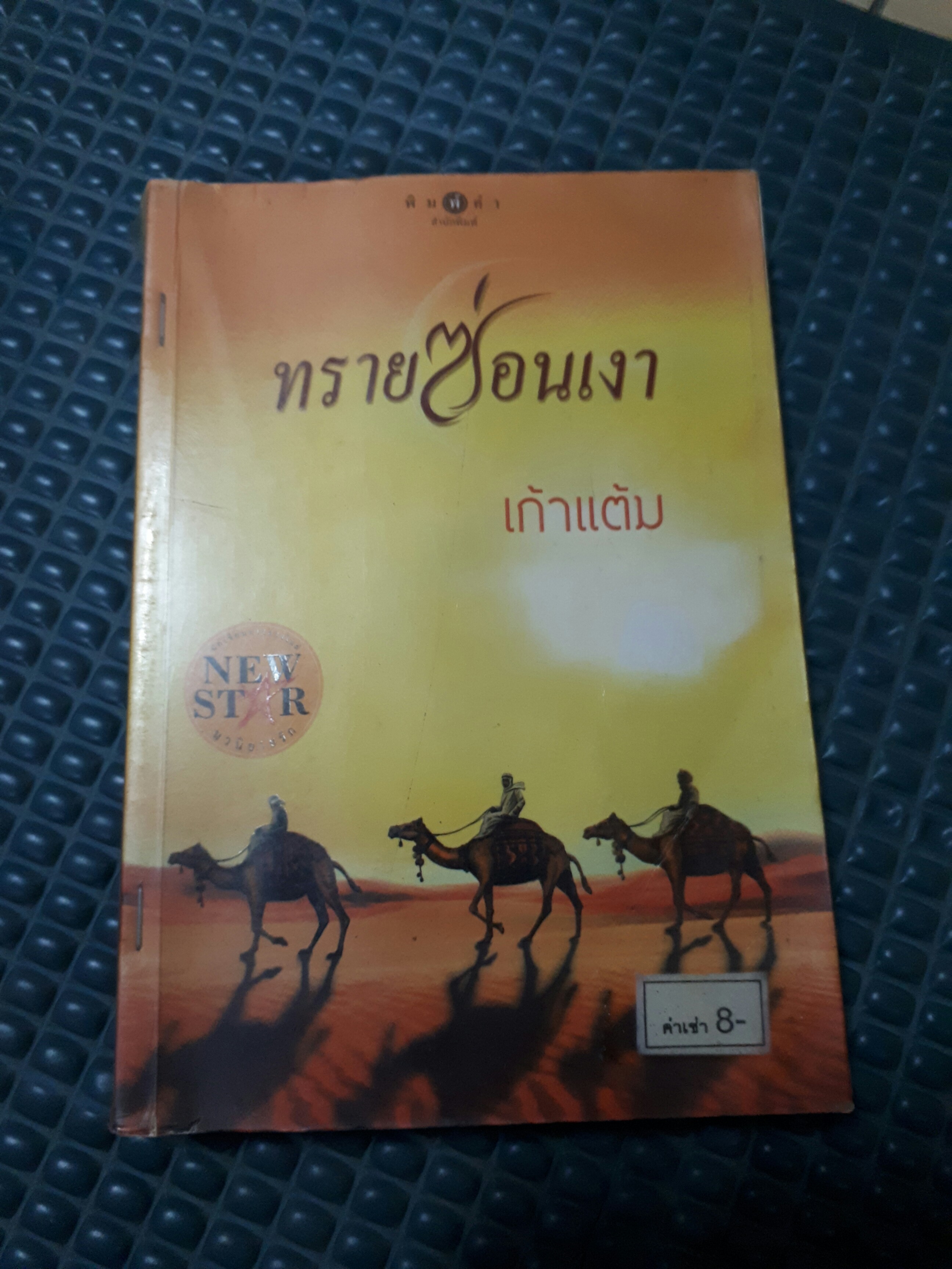 ทรายซ่อนเงา /เก้าแต้ม