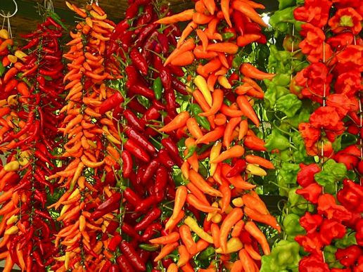พริกมัน chilli