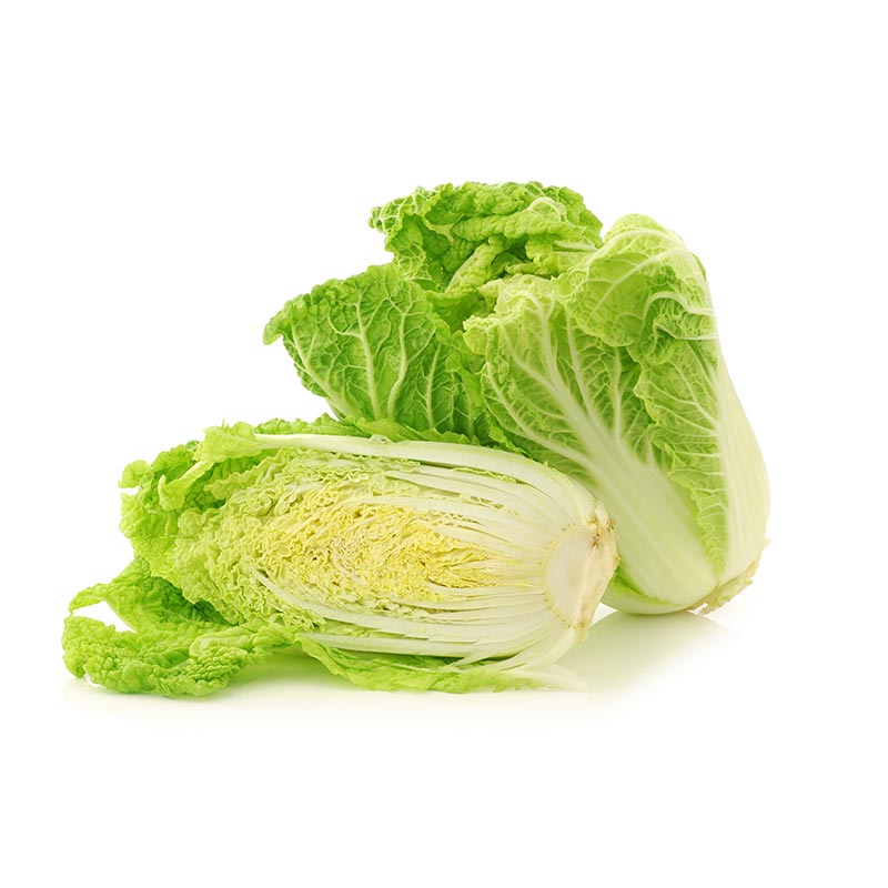 ผักกาดขาว Chinese Cabbage