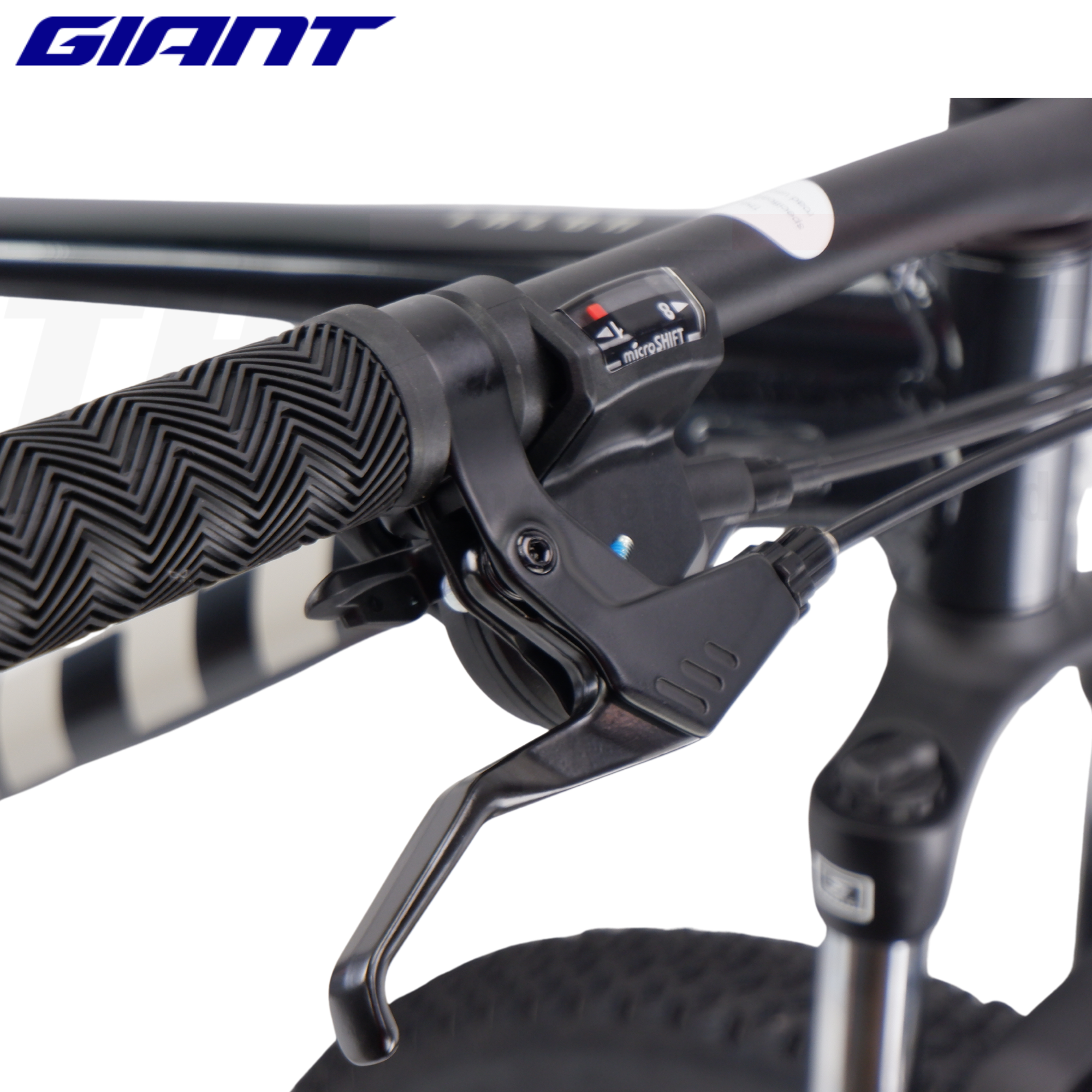 จักรยานเสือภูเขา Giant Talon 29 4 Mountain Bike