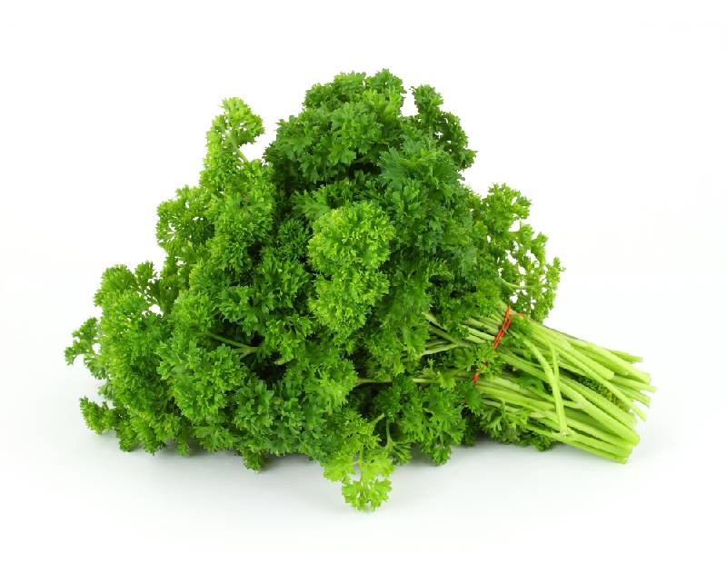 ผักพาสลีย์ Parsley