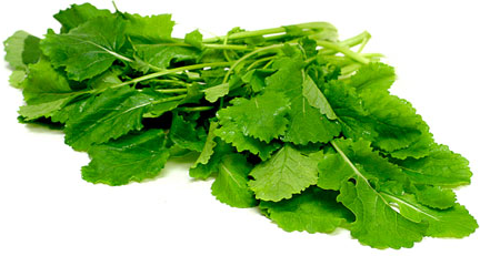 ผักกาดสร้อย mustard green