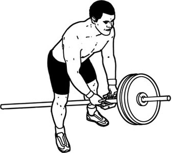 วี กริฟ Chinning Triangle .