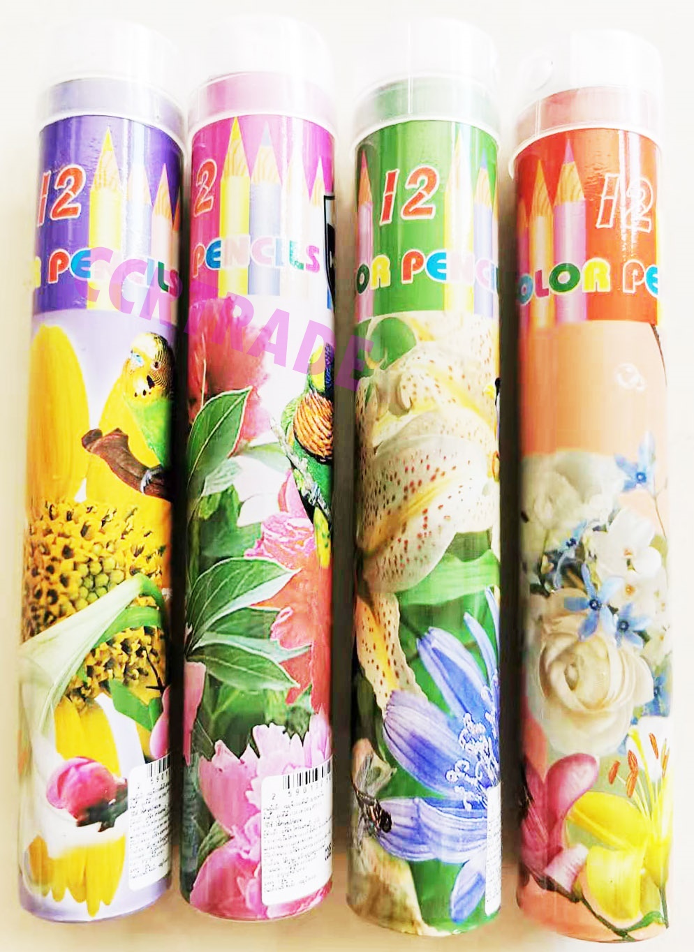 สีไม้ยาว 12 แท่ง+กบเหลากระปุก 19 ซม.