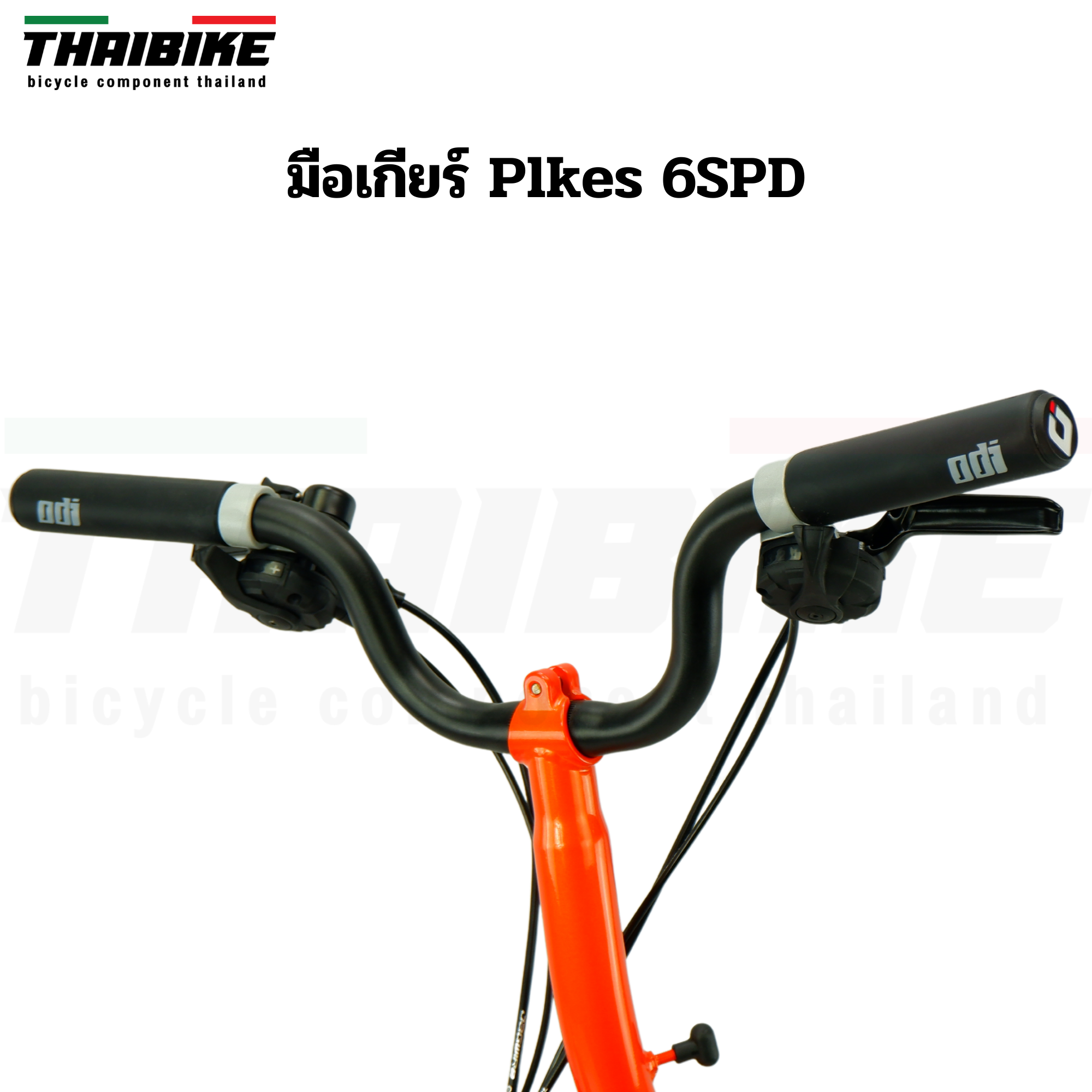 จักรยานพับ Thaibike PIKES รุ่น PAIKESSI 6 SPD เฟรมโครโมลี่