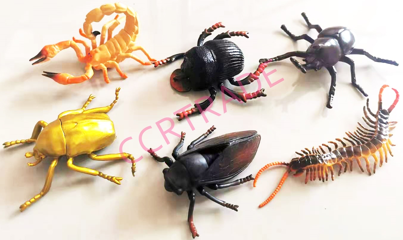 ชุดเรียนรู้โลกแมลงยักษ์ 6 ชิ้นถุง PVC 20 ซม.(1x3)