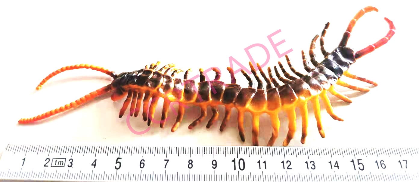 ชุดเรียนรู้โลกแมลงยักษ์ 6 ชิ้นถุง PVC 20 ซม.(1x3)