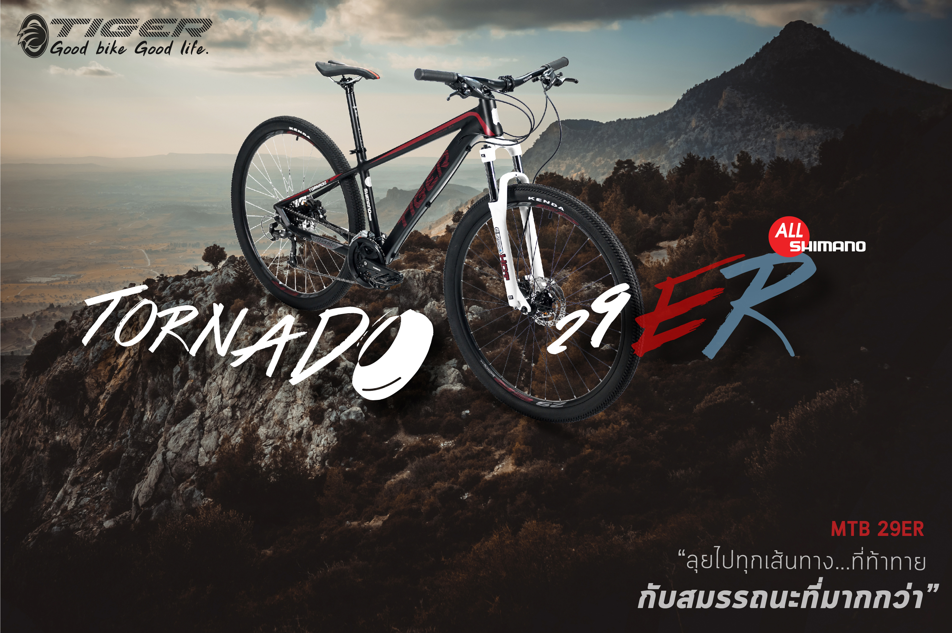 จักรยานเสือภูเขา TIGER TORNADO 29 ER