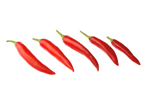 พริกขี้หนูยอดสน chilli