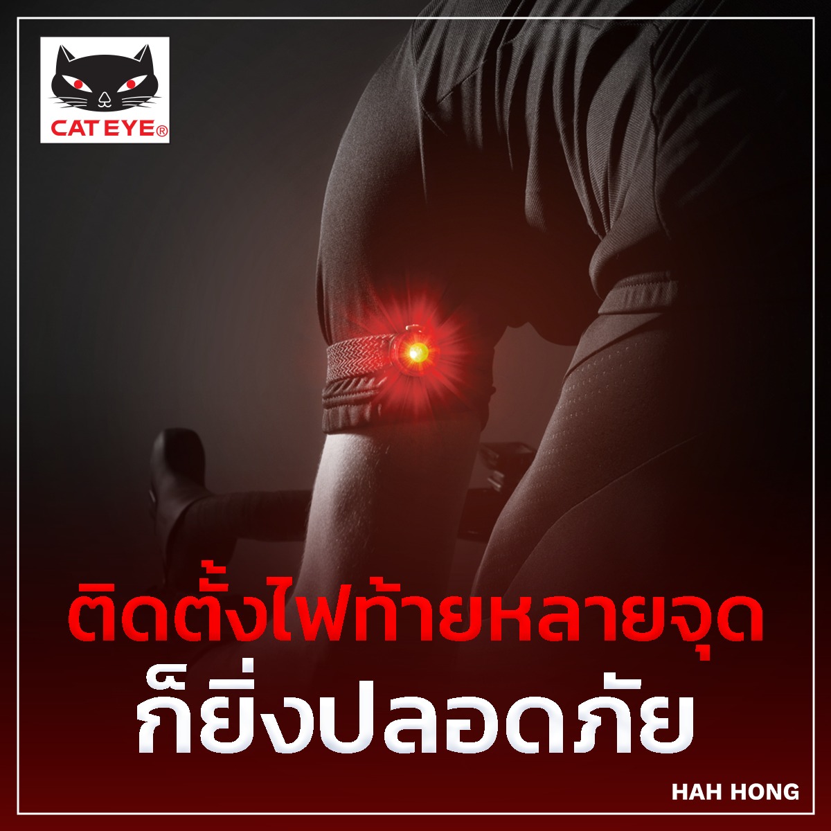 CATEYE NANO60 ไฟท้ายจักรยานเล็กแต่สว่างแรง6โหมดกันน้ำชาร์จUSBของแท้จากญี่ปุ่น